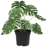 vidaXL Pot à fleurs rond 24 Pièces Noir Ø 12 5 x 10 cm Plastique