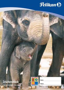 Bloc de dessin C 2/10, A2, 100 g/m2, 10 feuilles PELIKAN