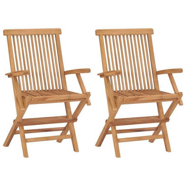vidaXL Chaises de jardin pliables lot de 2 Bois de teck massif