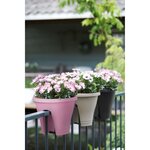 ELHO Bac de balcon Corsica Flower Bridge 30 - Violet vif - Extérieur & Balcon - L 29,6 x W 29,6 x H 24 cm