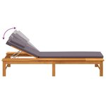 vidaXL Chaise longue et coussin/oreiller gris foncé bois massif acacia