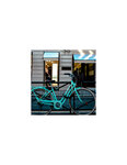THIRARD - Chaîne acier gainé nylon Loops  vélo  moto  barrières  1.5m  noir  cadenas  2 clés