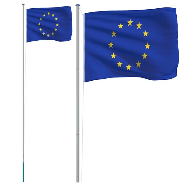 vidaXL Drapeau de l'Europe et mât 6 08 m Aluminium