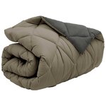 vidaXL Duvet d'hiver Gris clair et anthracite 200 x 135 cm Microfibre