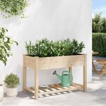 vidaXL Cache-pot de jardin avec étagère Beige 115 x 59 x 76.5 cm