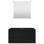 vidaXL Ensemble de meubles salle de bain 2 Pièces noir bois d'ingénierie