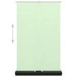Vidaxl toile de fond de photographie vert 95" 4:3