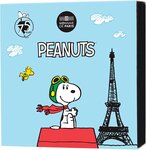 Snoopy Monnaie de 100€ Argent