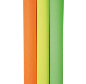Rouleau 10 Feuilles 80g Affiche fluo 60x80 cm assortis CLAIREFONTAINE