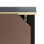 vidaXL Armoire murale de salle de bain BERG noir bois de pin massif