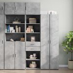 vidaXL Armoire de rangement mince gris béton 50x42 5x225 cm