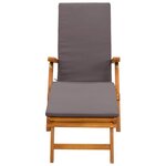 vidaXL Chaise longue inclinable et pliable 2 Pièces Gris 55 x 146 x 91 cm