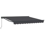 vidaXL Cadre d'auvent Anthracite 300 x 250 cm