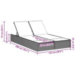 vidaXL Chaise longue double avec coussins gris résine tressée