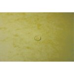 Chemise 3 Rabats À Élastiques Carte Lustrée 400g/m2 - A4 - Jaune Citron - X 25 - Exacompta