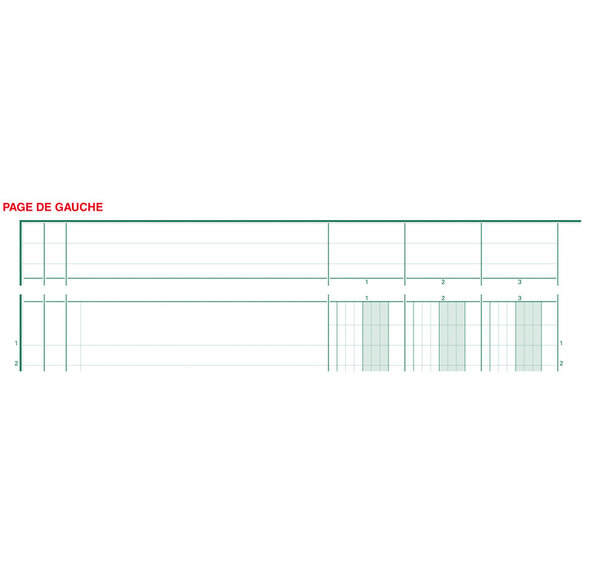 PIQ. 29,7/21 T.P. 10 Colonnes 80p. EXACOMPTA