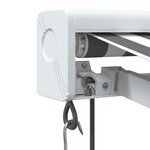 vidaXL Auvent rétractable anthracite/blanc 3x2 5 m tissu et aluminium