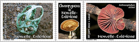 Timbre Nouvelle Calédonie - Champignons de Nouvelle Calédonie