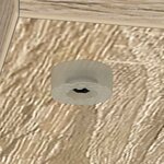 vidaXL Table basse Chêne Sonoma 101 5 x 50 x 37 cm Bois d'ingénierie