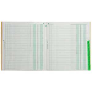 Piqûre 21x19cm échéancier tracé journal 80 pages x 5 EXACOMPTA