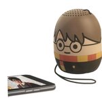 EKIDS HARRY POTTER Enceinte Bluetooth Ri-B63HP