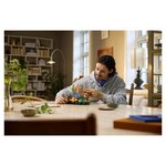 11505 Les champignons des bois ® Botanicals