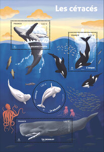Bloc 4 timbres - Les cétacés - Lettre verte