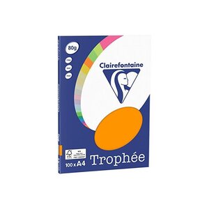 Ramette 100 Feuilles Papier 80g A4 210x297 mm Assorti Intense TROPHÉE