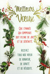 Carte Bonne Année Meilleurs Vœux +enveloppe12x17 5cm
