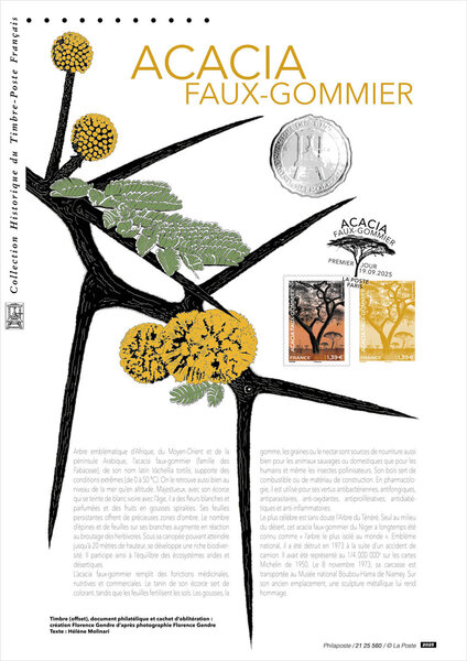 Document philatélique - Acacia faux-gommier