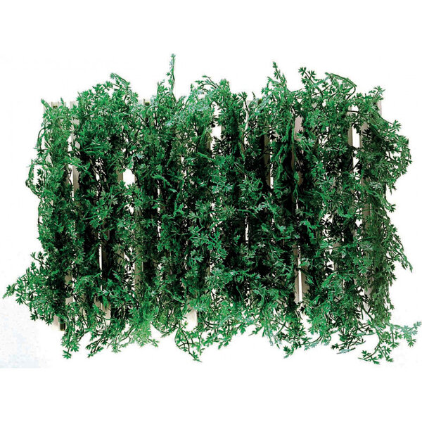 Boite de barrettes persil - l2g -  - 250 0x0mm