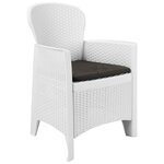 vidaXL Chaise de jardin 2 Pièces et coussin Blanc Plastique Aspect rotin