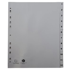 Intercalaires Imprimés Numériques Pp Recyclé Gris - 12 Positions - A4 - Gris - Exacompta