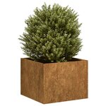 vidaXL Jardinière rouillé 40x40x30 cm acier inoxydable
