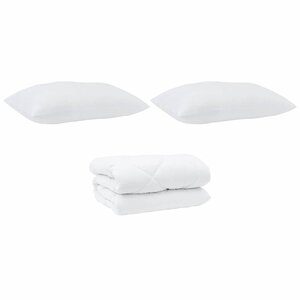 vidaXL Couette avec Oreillers 3 Pièces Blanc Microfibre et Plumes D'oie