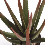 Plante artificielle aloe vert pvc h81cm