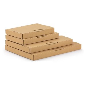 Boîte postale extra-plate carton brune avec fermeture adhésive 22 5x15x2 5 cm (lot de 50)