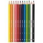 Crayon de couleur jumbo mega  étui en carton de 12 bruynzeel