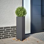 vidaXL Jardinières 2 Pièces anthracite triangulaire 30x26x75 cm acier