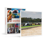SMARTBOX - Coffret Cadeau Stage de pilotage monoplace : 6 tours sur le circuit de La Ferté-Gaucher en Formule 4 Tatuus -  Sport & Aventure