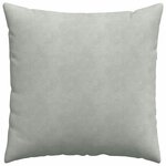 vidaXL Coussins de canapé 2 Pièces Gris clair 80 x 80 cm