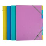 Trieur plastique forever young exacompta 8 divisions couleurs assorties - lot de 4