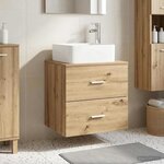 vidaXL Vanité de lavabo mural Chêne artisanal 49 5 x 41 x 63 cm