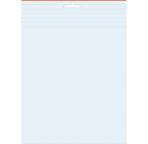 Paquet de 100 Sachets d'emballage Polyethylene Zip Souple 6x100e - 98x148mm x 24 EXACOMPTA