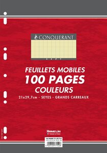 Feuillets mobiles 21x29,7 cm 100 pages grands carreaux jaunes 80g x 10 CONQUÉRANT