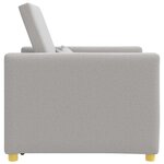 vidaXL Canapé-lit escamotable simple Gris nuage 90 x 165 x 87 cm tissu