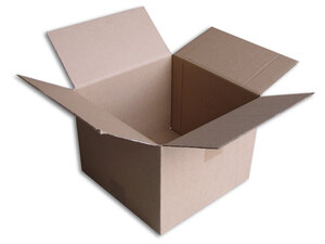 Lot de 100 boîtes carton (n°23) format 255x255x200 mm