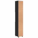 vidaXL Meuble de salle de bain haut avec porte Noir 30 x 35 x 192 cm