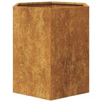 vidaXL Jardinières 2 Pièces hexagone 46x40x45 cm acier patinable