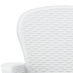 vidaXL Chaise de jardin lot de 2 coussin Blanc Plastique Aspect rotin
